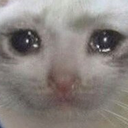 :sadcat@comp.lain.la: