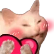 :nyanheart@blahaj.love: